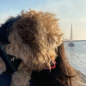 Meet your Posher, Katherine